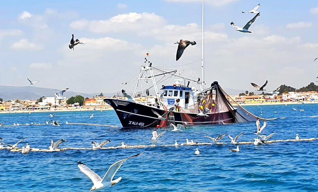 barco pesconil pescando